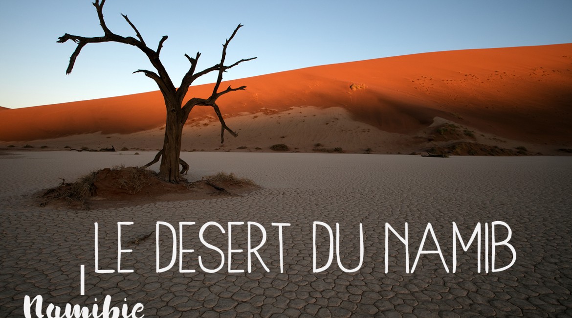 Immersion dans le désert du Namib Immersion dans le désert du Namib